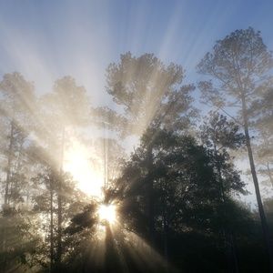 Meet your Posher, Gabriel